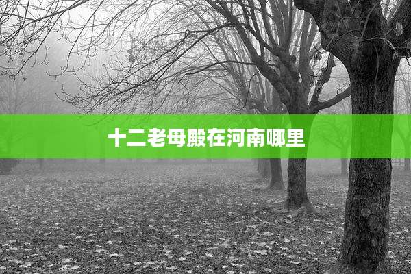 十二老母殿在河南哪里