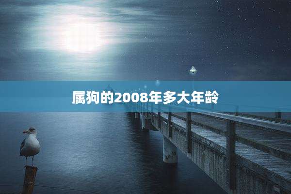 属狗的2008年多大年龄
