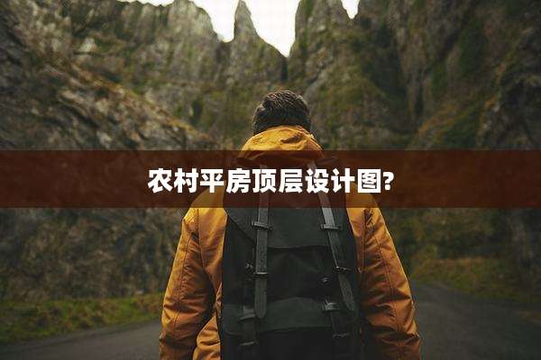 农村平房顶层设计图?