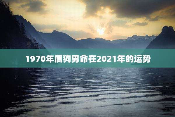 1970年属狗男命在2021年的运势
