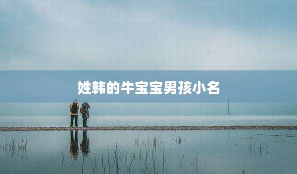 姓韩的牛宝宝男孩小名