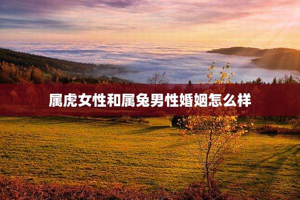 属虎女性和属兔男性婚姻怎么样