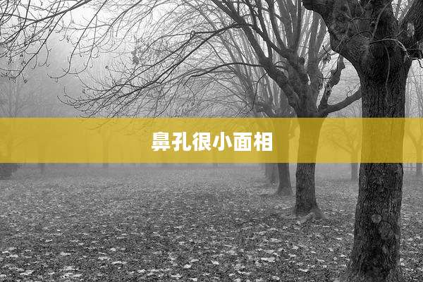 鼻孔很小面相