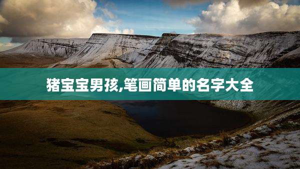 猪宝宝男孩,笔画简单的名字大全