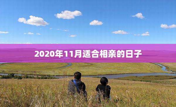 2020年11月适合相亲的日子