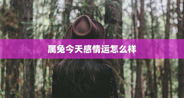 属兔今天感情运怎么样