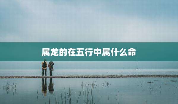 属龙的在五行中属什么命