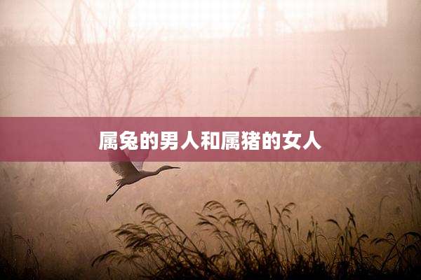 属兔的男人和属猪的女人