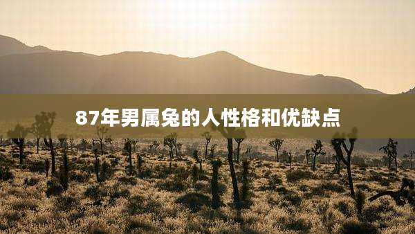 87年男属兔的人性格和优缺点