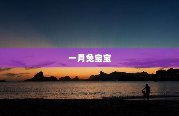 一月兔宝宝
