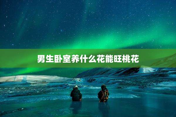 男生卧室养什么花能旺桃花
