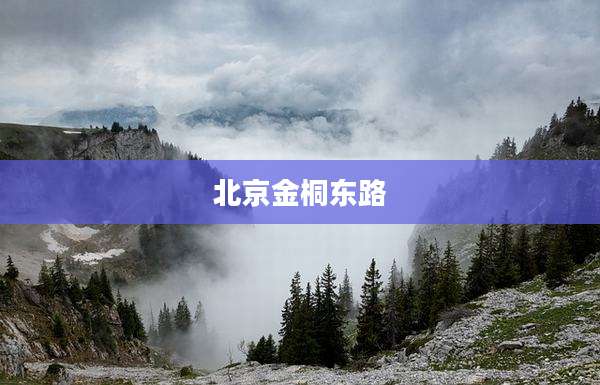 北京金桐东路