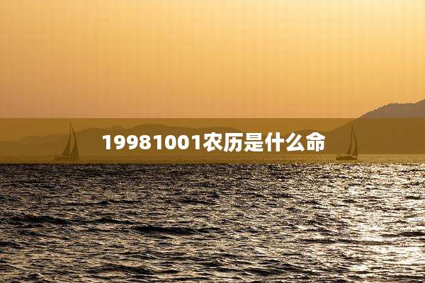 19981001农历是什么命
