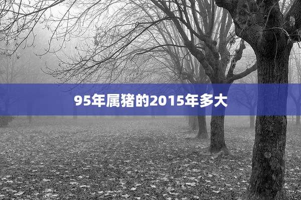 95年属猪的2015年多大