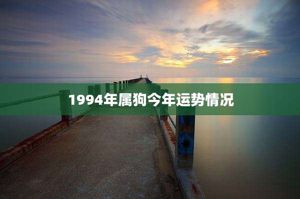 1994年属狗今年运势情况