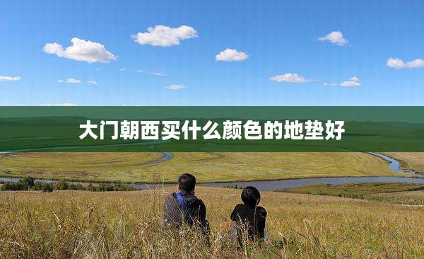 大门朝西买什么颜色的地垫好
