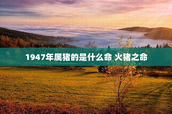 1947年属猪的是什么命 火猪之命