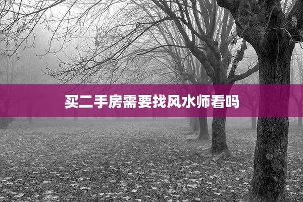 买二手房需要找风水师看吗