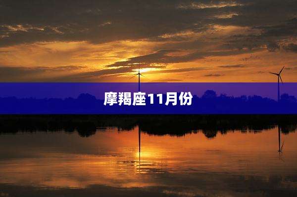 摩羯座11月份