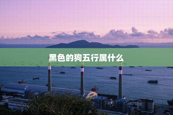 黑色的狗五行属什么