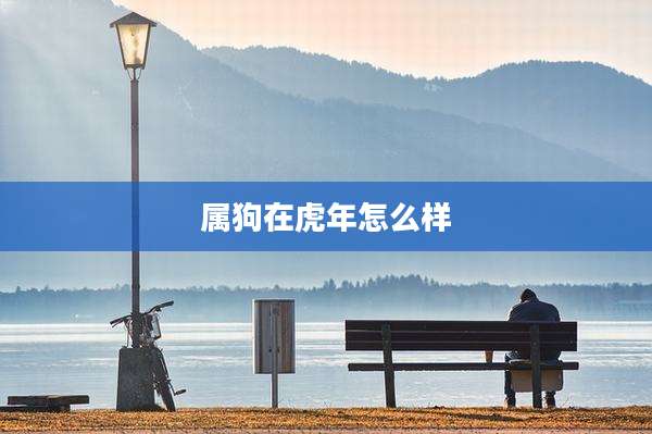 属狗在虎年怎么样