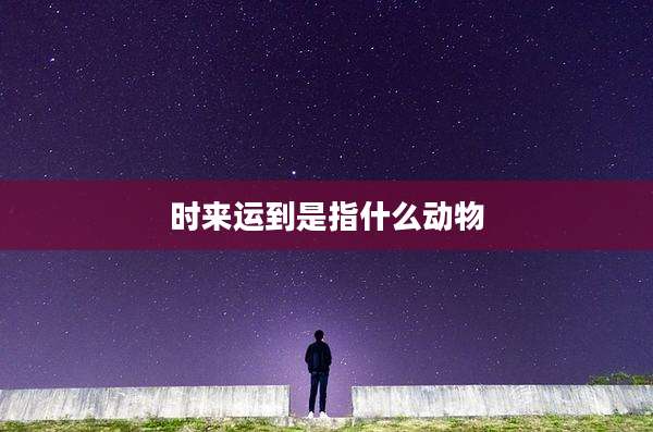 时来运到是指什么动物