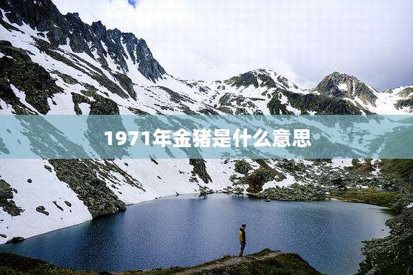 1971年金猪是什么意思