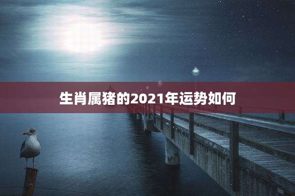 生肖属猪的2021年运势如何