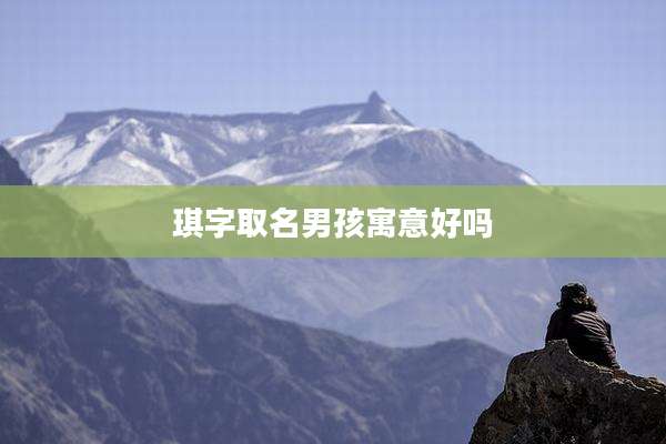 琪字取名男孩寓意好吗