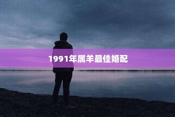 1991年属羊最佳婚配