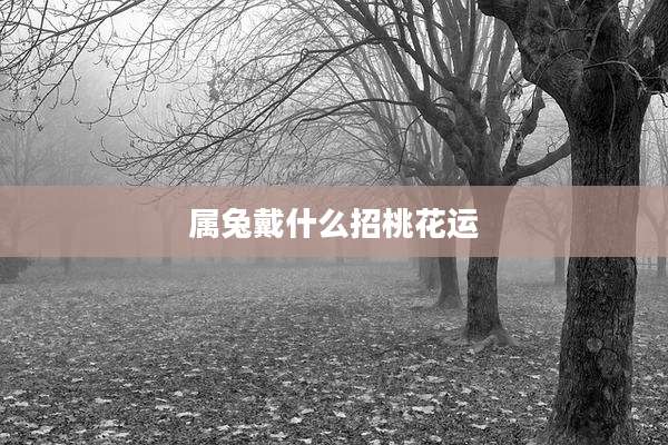 属兔戴什么招桃花运