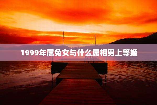 1999年属兔女与什么属相男上等婚