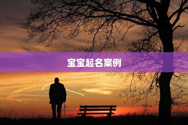 宝宝起名案例