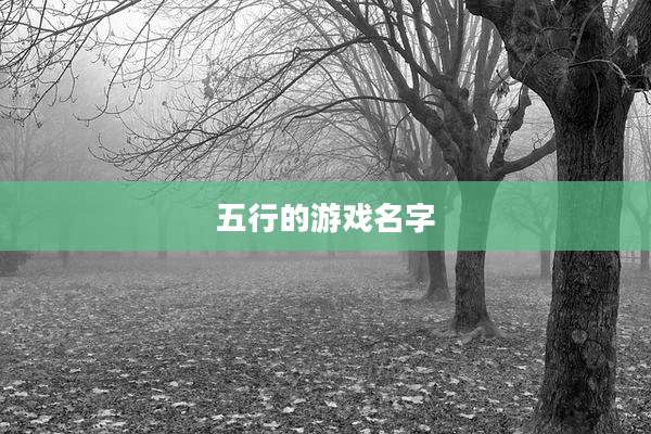 五行的游戏名字
