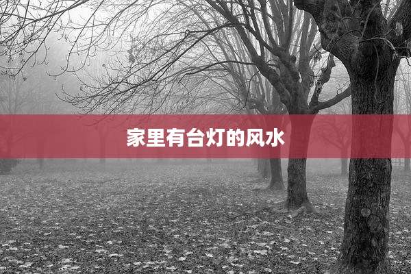 家里有台灯的风水