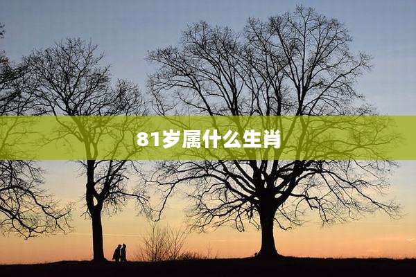 81岁属什么生肖