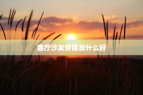 客厅沙发旁摆放什么好