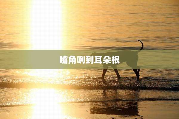 嘴角咧到耳朵根