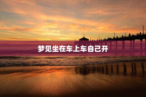 梦见坐在车上车自己开