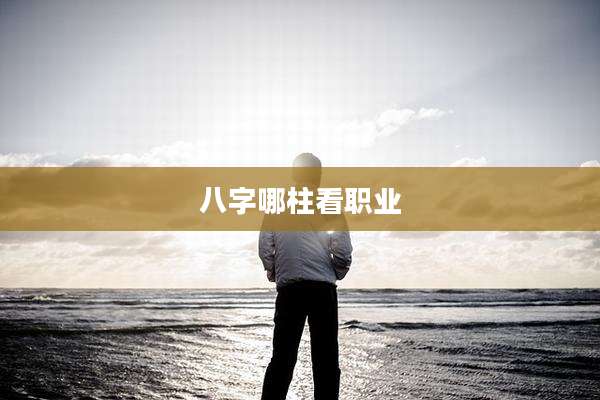 八字哪柱看职业