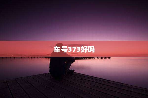 车号373好吗