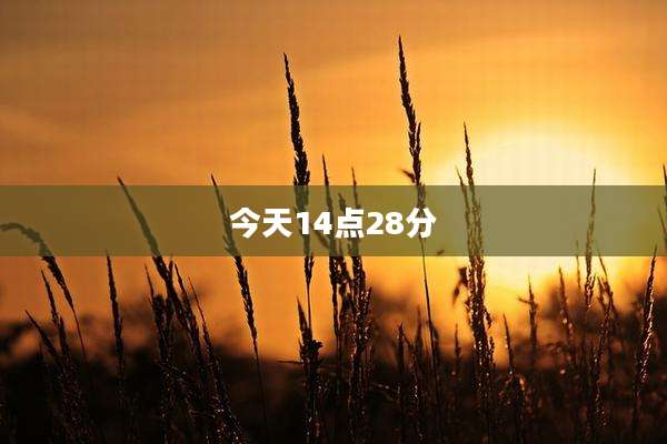 今天14点28分
