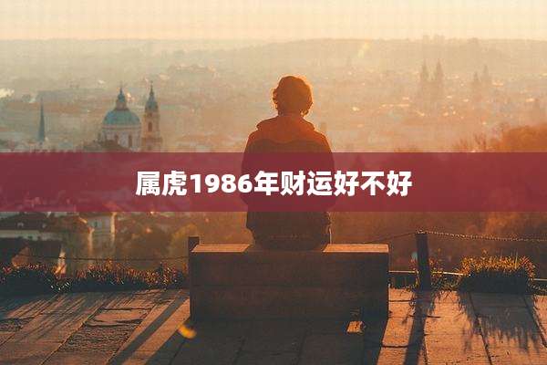 属虎1986年财运好不好