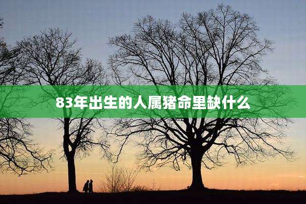 83年出生的人属猪命里缺什么