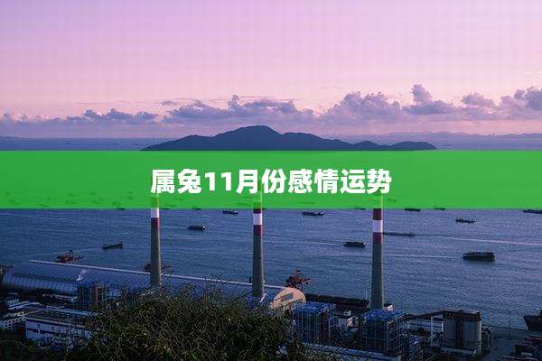 属兔11月份感情运势