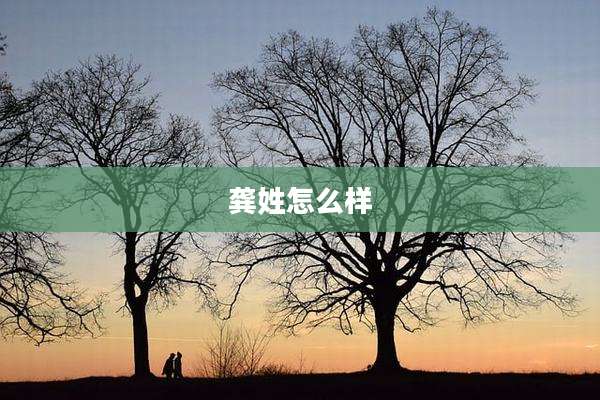 龚姓怎么样