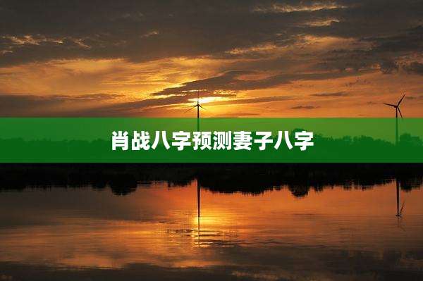 肖战八字预测妻子八字