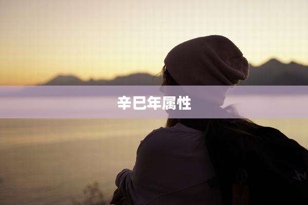 辛巳年属性