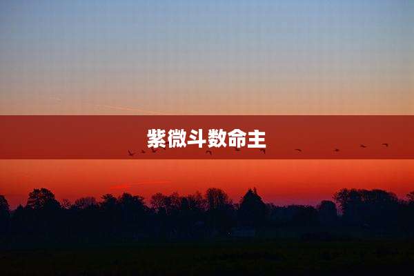 紫微斗数命主