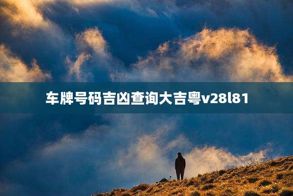 车牌号码吉凶查询大吉粤v28l81